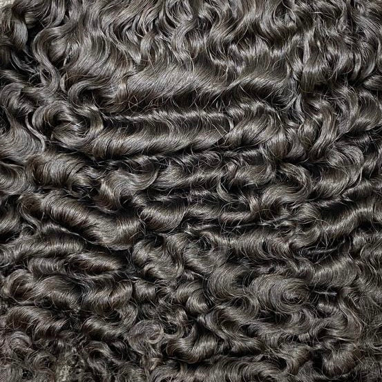 Burmese Curly